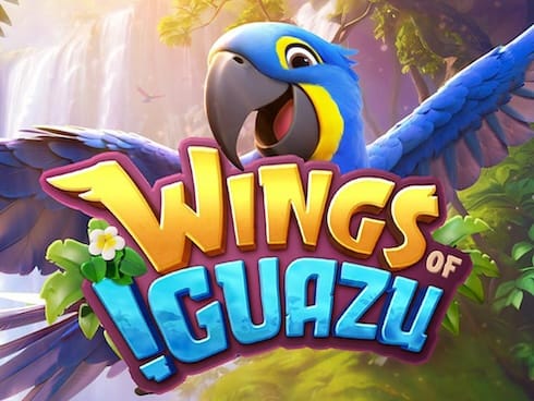 Wings of Iguazu thumbnail
